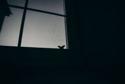  25.
