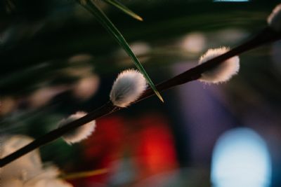  4.